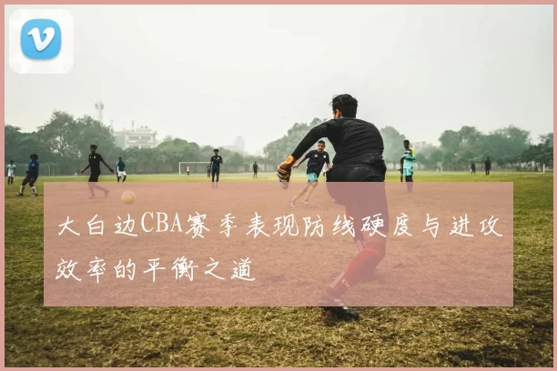 大白边CBA赛季表现防线硬度与进攻效率的平衡之道