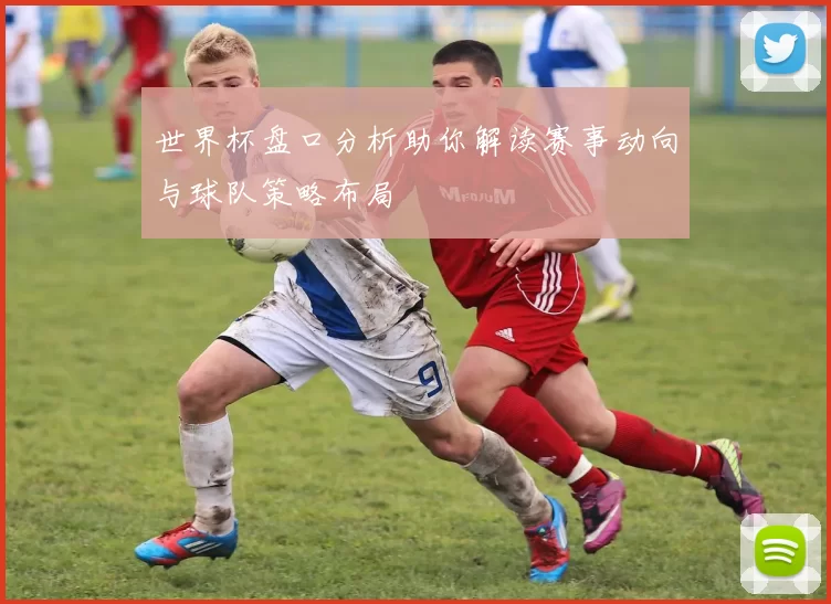 世界杯盘口分析助你解读赛事动向与球队策略布局