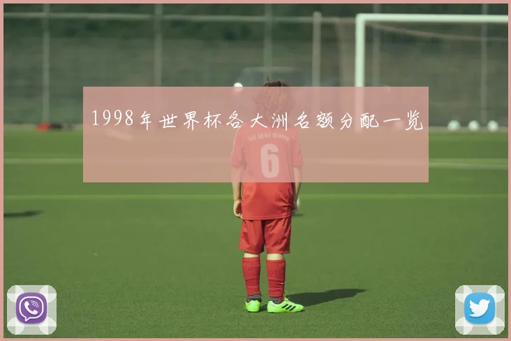 1998年世界杯各大洲名额分配一览